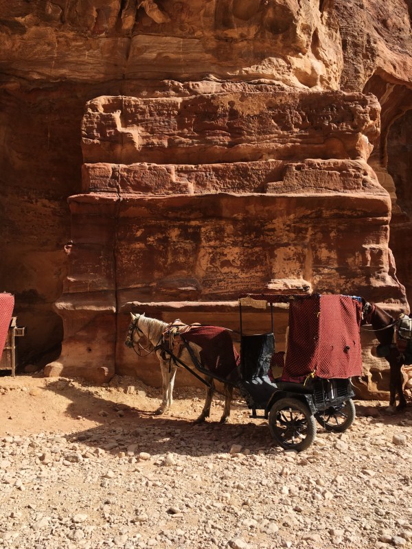 Processed with VSCO with s3 preset