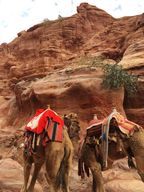 Processed with VSCO with s3 preset